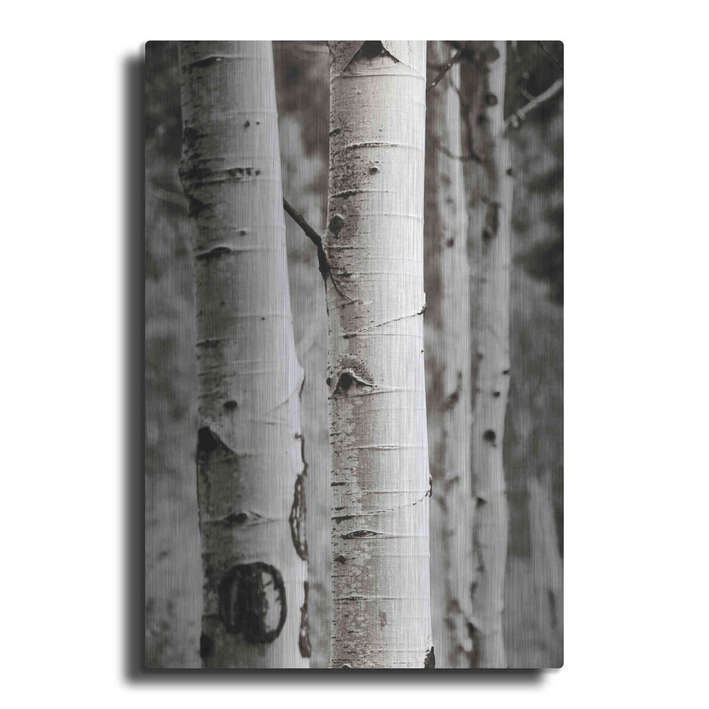 Luxe Metal Art 'Aspens I' by Debra Van Swearingen, Metal Wall Art
