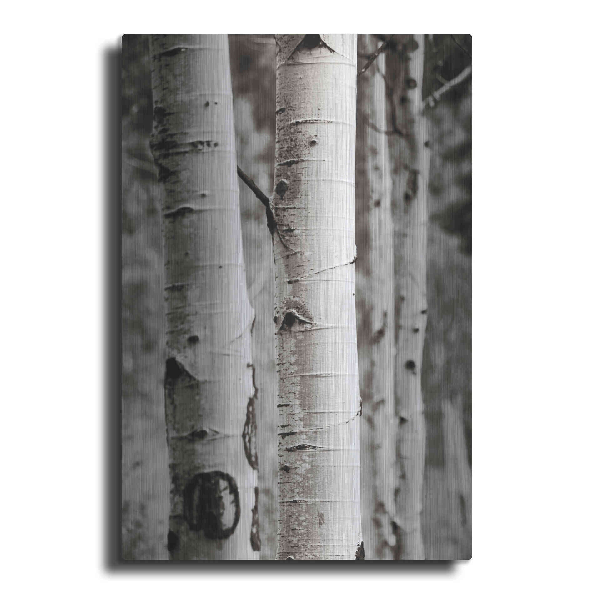 Luxe Metal Art 'Aspens I' by Debra Van Swearingen, Metal Wall Art