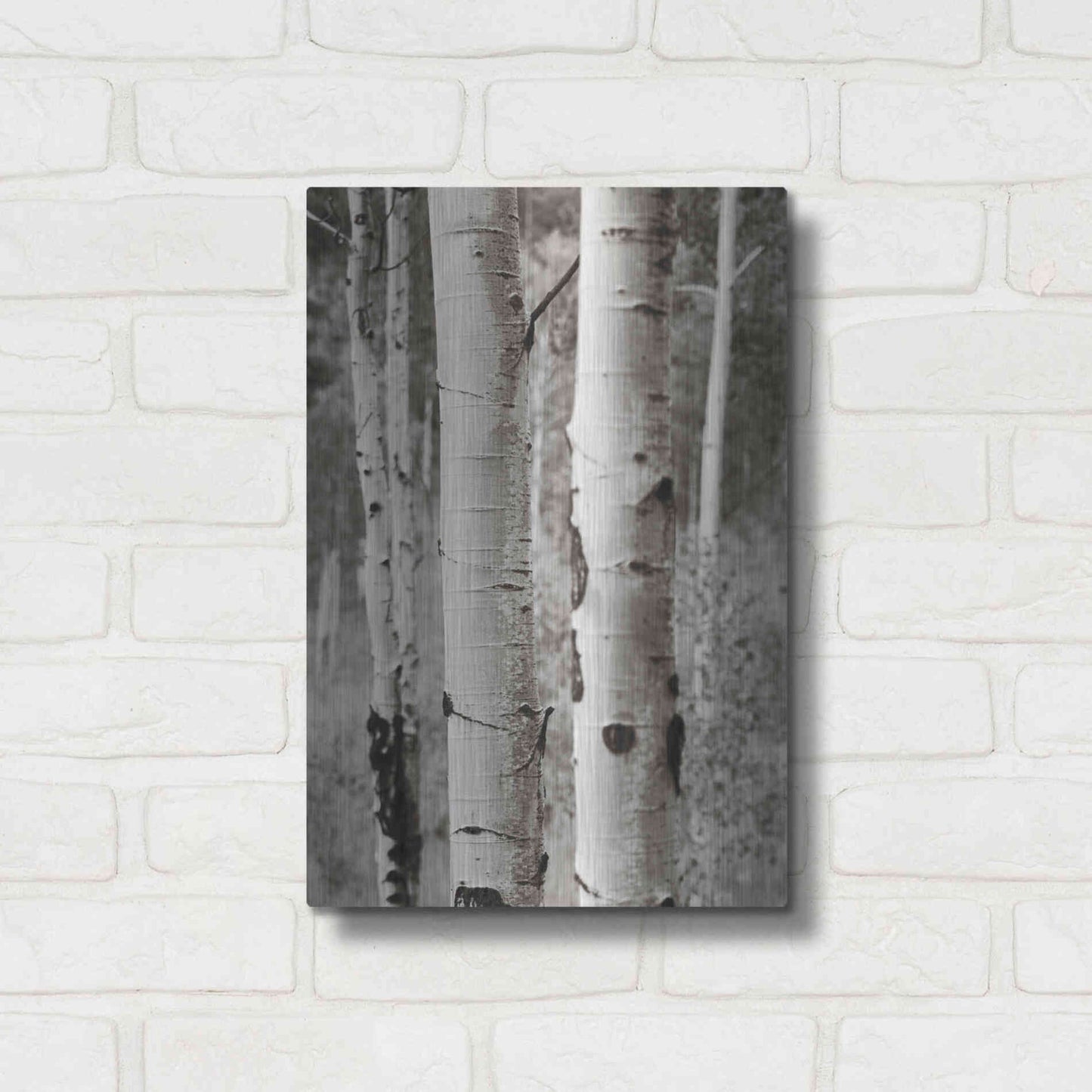 Luxe Metal Art 'Aspens II' by Debra Van Swearingen, Metal Wall Art,12x16