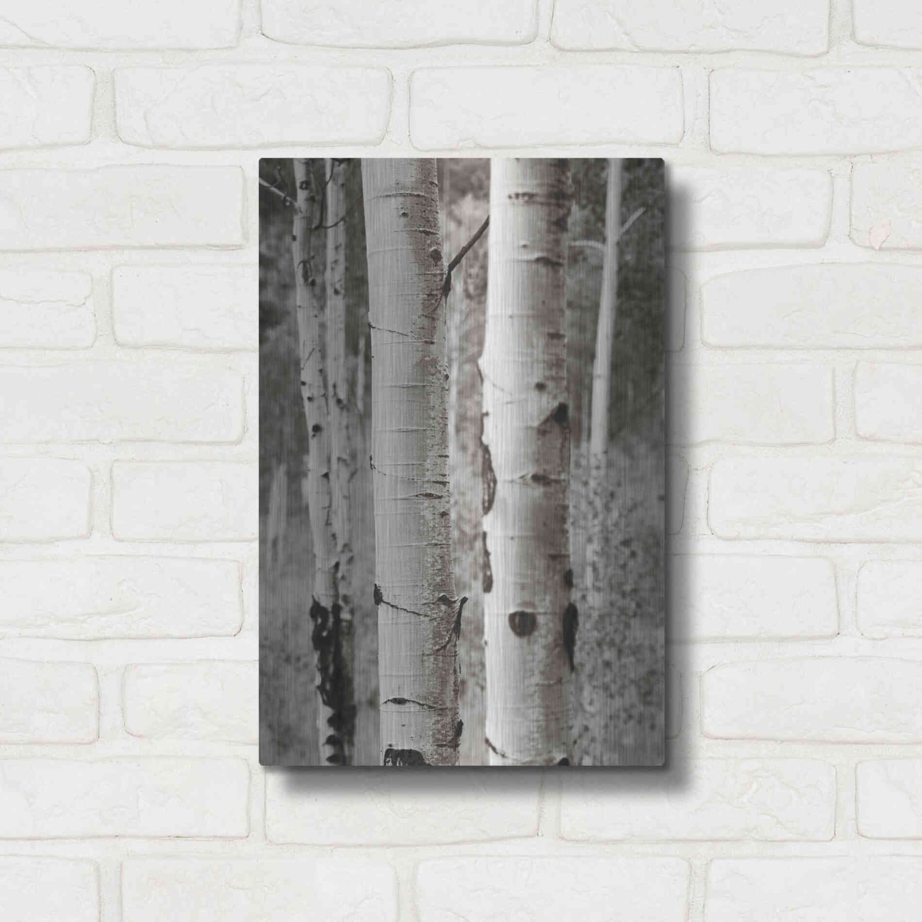 Luxe Metal Art 'Aspens II' by Debra Van Swearingen, Metal Wall Art,12x16