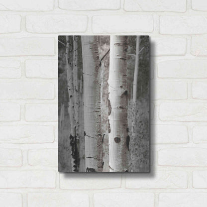 Luxe Metal Art 'Aspens II' by Debra Van Swearingen, Metal Wall Art,12x16