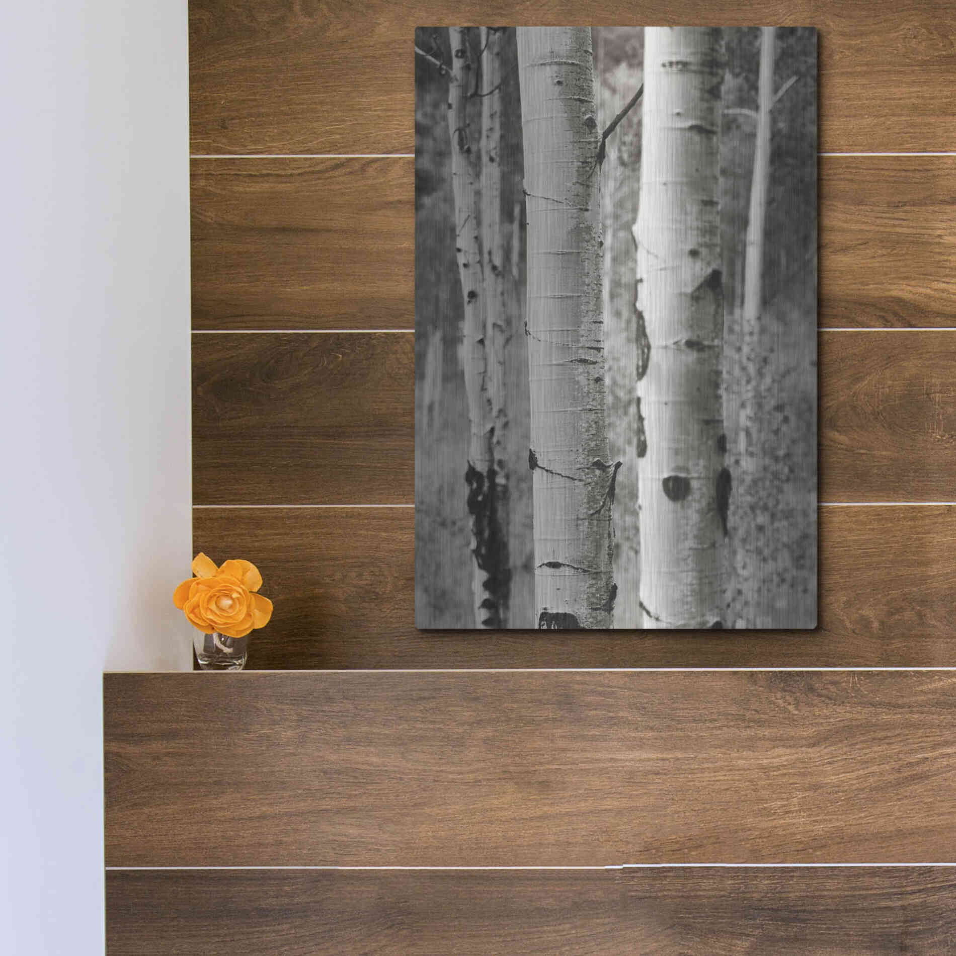 Luxe Metal Art 'Aspens II' by Debra Van Swearingen, Metal Wall Art,12x16