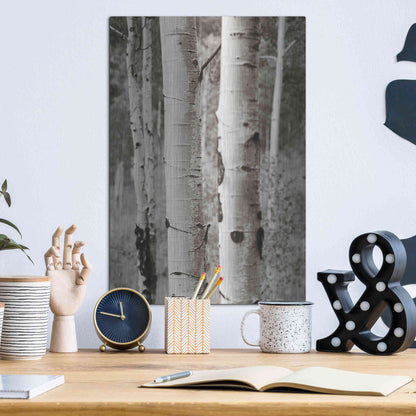 Luxe Metal Art 'Aspens II' by Debra Van Swearingen, Metal Wall Art,12x16