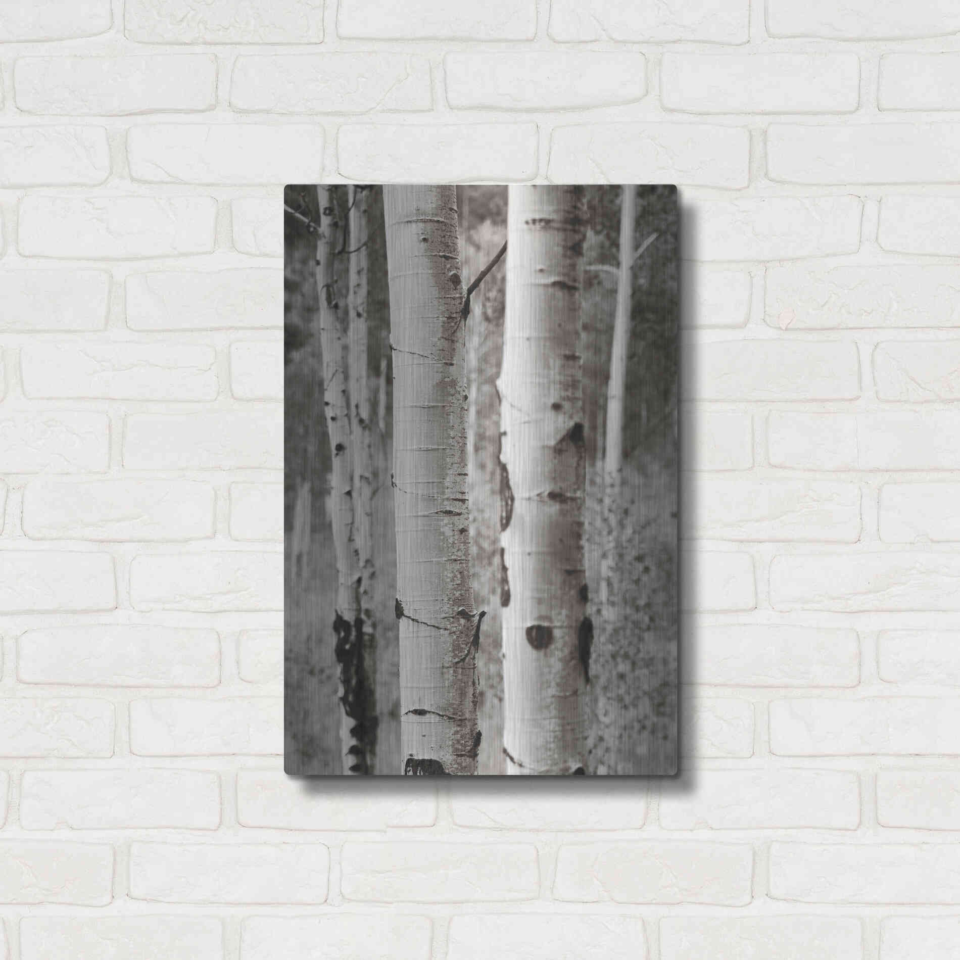 Luxe Metal Art 'Aspens II' by Debra Van Swearingen, Metal Wall Art,16x24