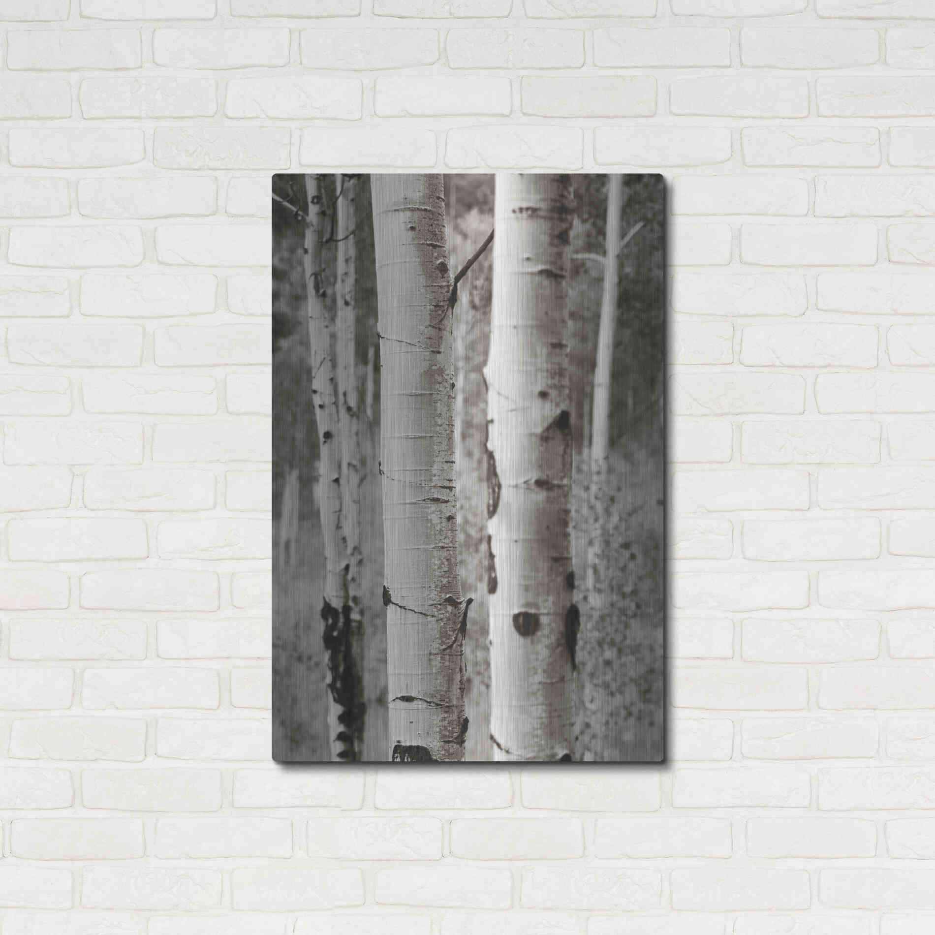 Luxe Metal Art 'Aspens II' by Debra Van Swearingen, Metal Wall Art,24x36