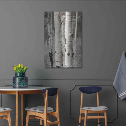 Luxe Metal Art 'Aspens II' by Debra Van Swearingen, Metal Wall Art,24x36