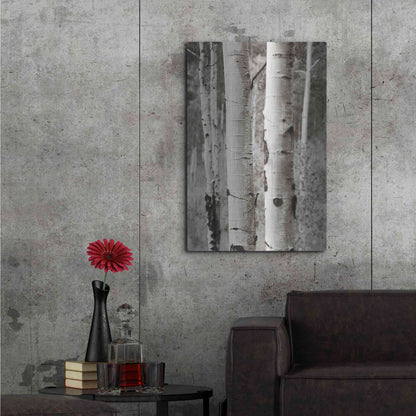 Luxe Metal Art 'Aspens II' by Debra Van Swearingen, Metal Wall Art,24x36