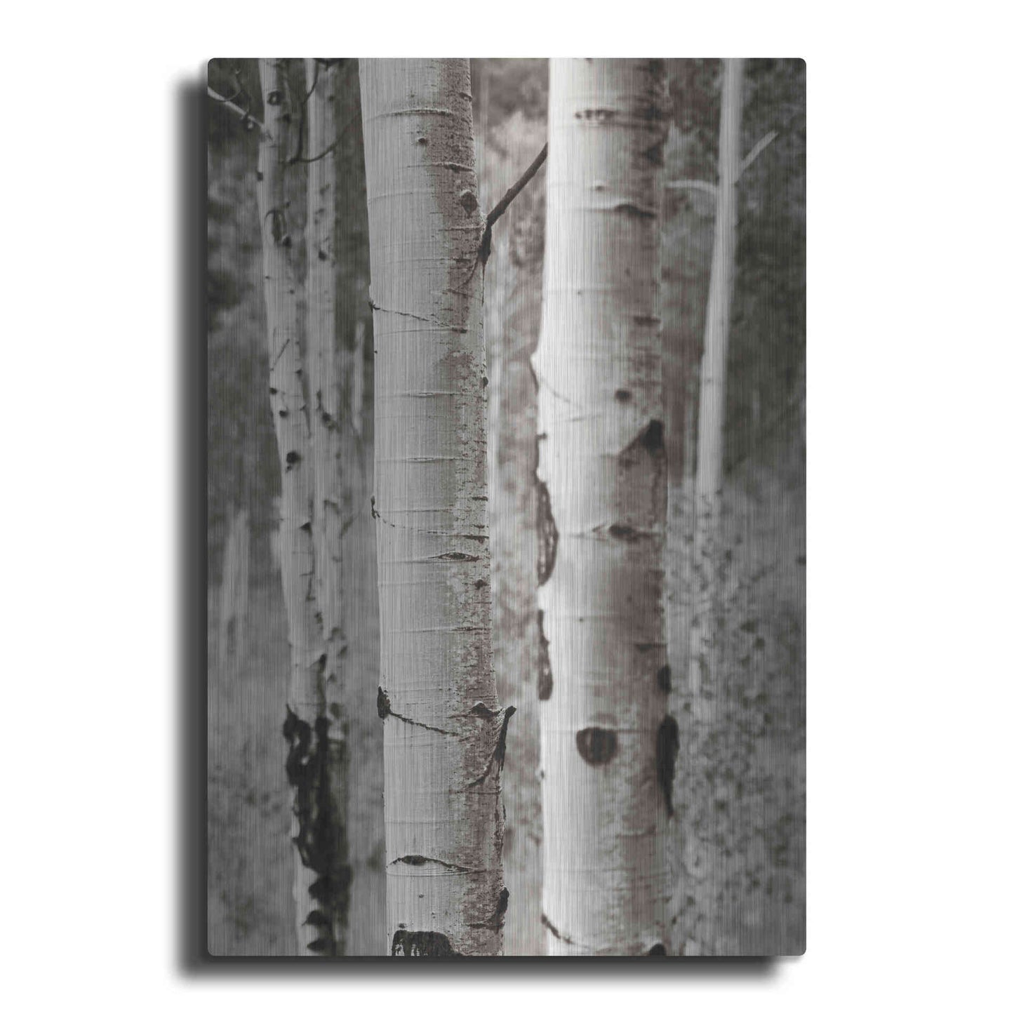 Luxe Metal Art 'Aspens II' by Debra Van Swearingen, Metal Wall Art