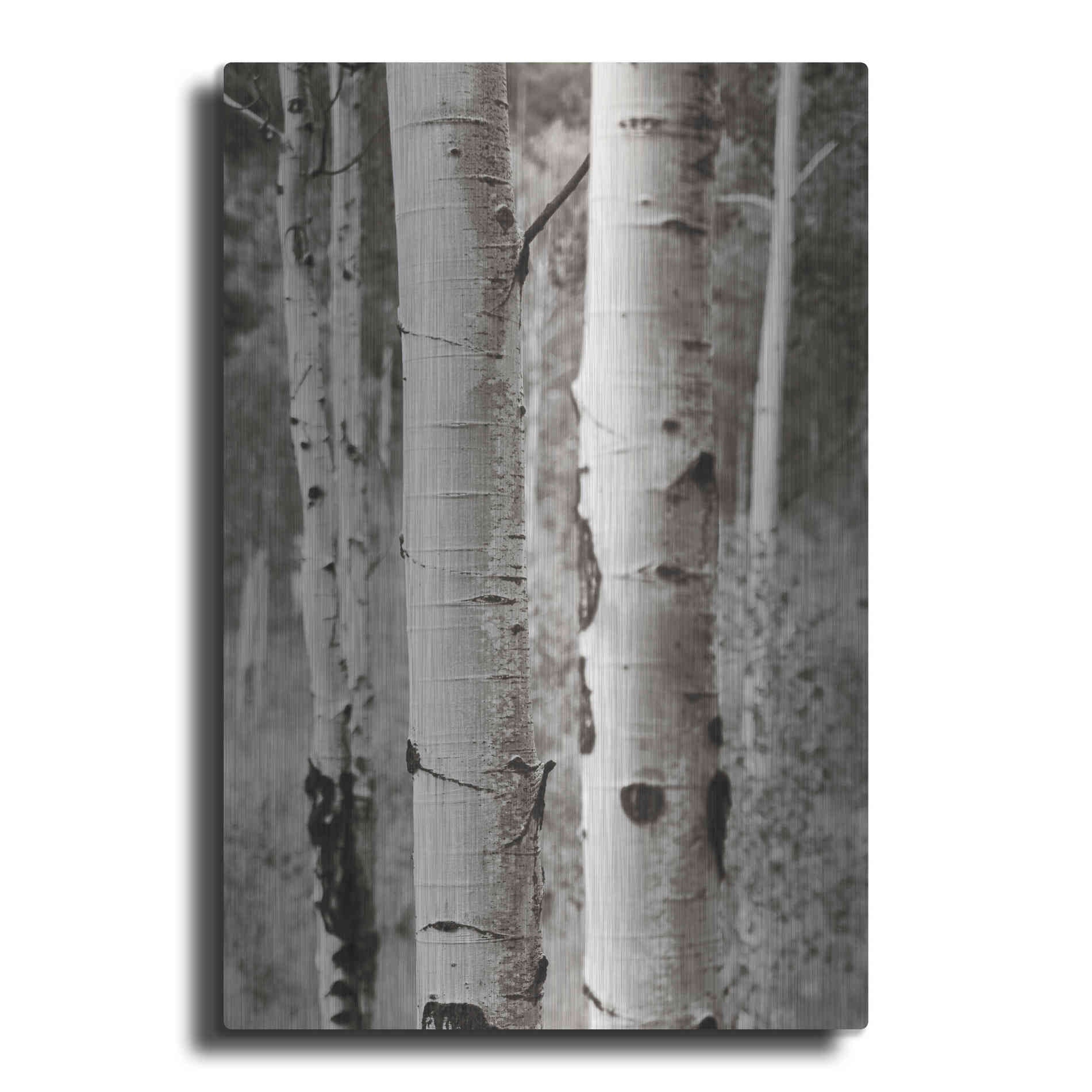 Luxe Metal Art 'Aspens II' by Debra Van Swearingen, Metal Wall Art