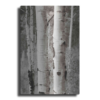 Luxe Metal Art 'Aspens II' by Debra Van Swearingen, Metal Wall Art
