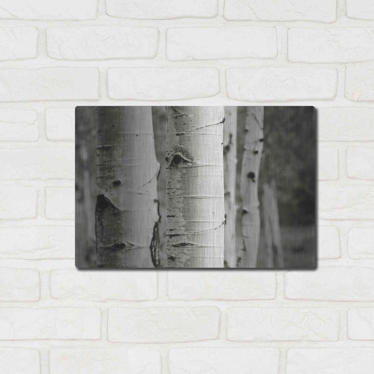 Luxe Metal Art 'Aspens III' by Debra Van Swearingen, Metal Wall Art,16x12