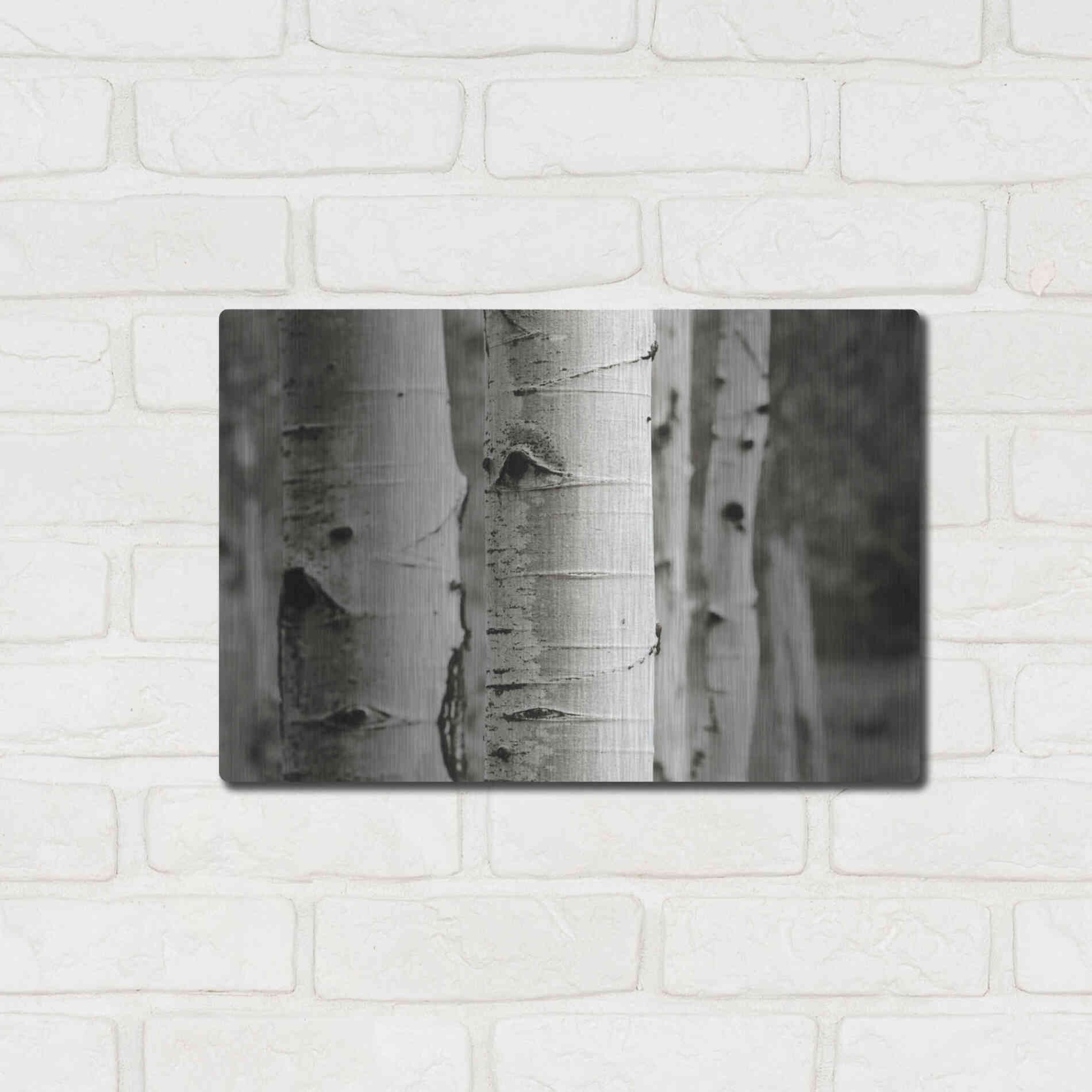 Luxe Metal Art 'Aspens III' by Debra Van Swearingen, Metal Wall Art,16x12