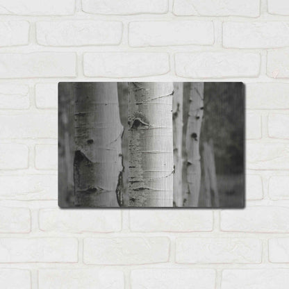 Luxe Metal Art 'Aspens III' by Debra Van Swearingen, Metal Wall Art,16x12
