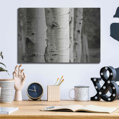 Luxe Metal Art 'Aspens III' by Debra Van Swearingen, Metal Wall Art,16x12