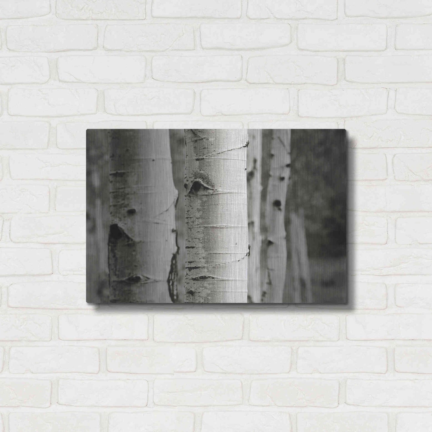 Luxe Metal Art 'Aspens III' by Debra Van Swearingen, Metal Wall Art,24x16