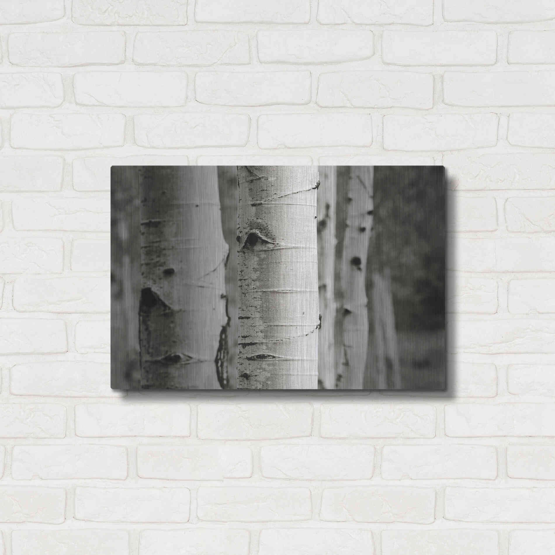 Luxe Metal Art 'Aspens III' by Debra Van Swearingen, Metal Wall Art,24x16