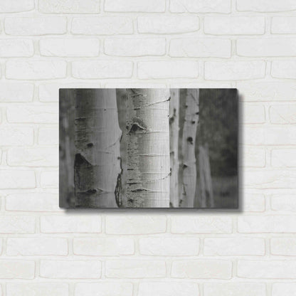 Luxe Metal Art 'Aspens III' by Debra Van Swearingen, Metal Wall Art,24x16