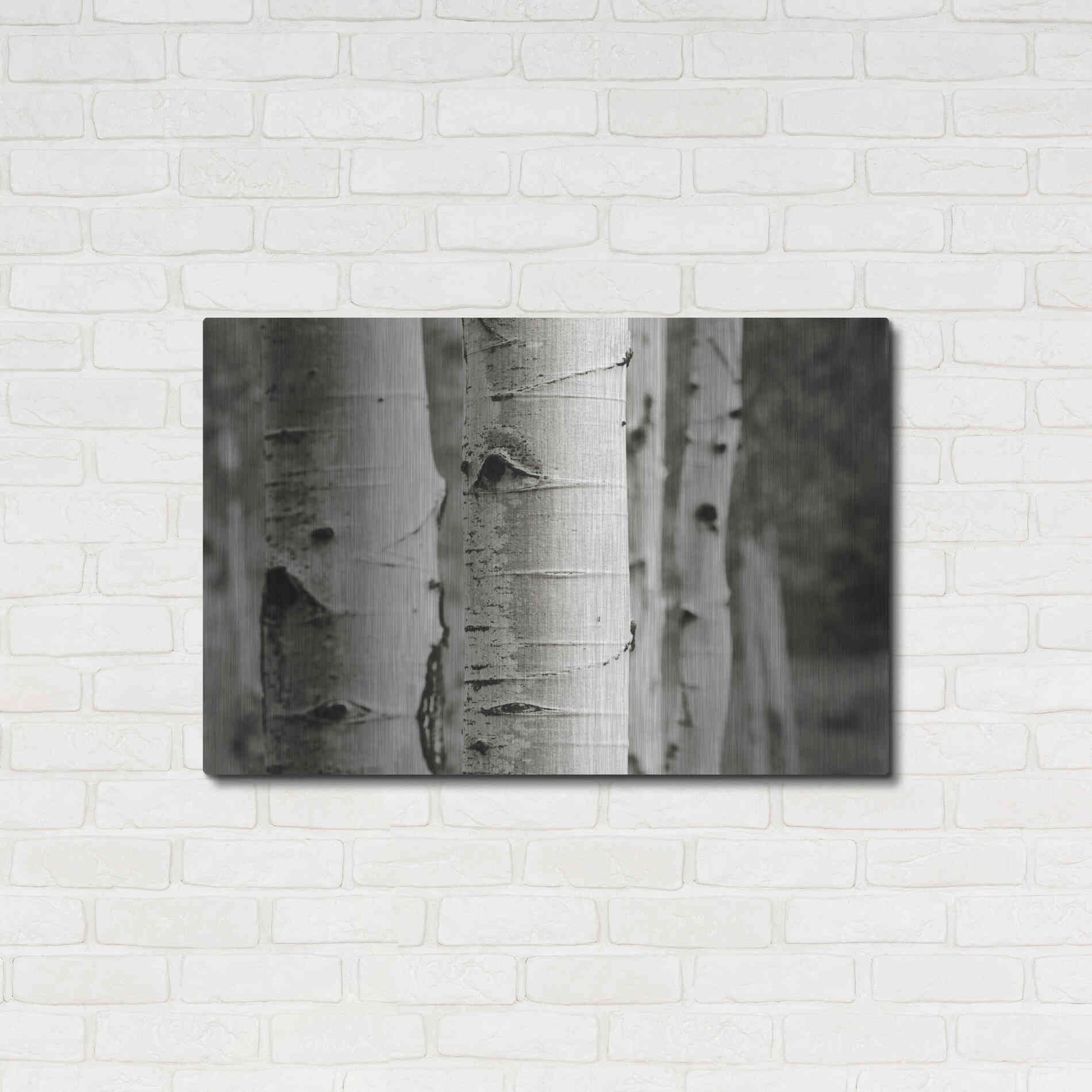 Luxe Metal Art 'Aspens III' by Debra Van Swearingen, Metal Wall Art,36x24