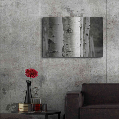 Luxe Metal Art 'Aspens III' by Debra Van Swearingen, Metal Wall Art,36x24