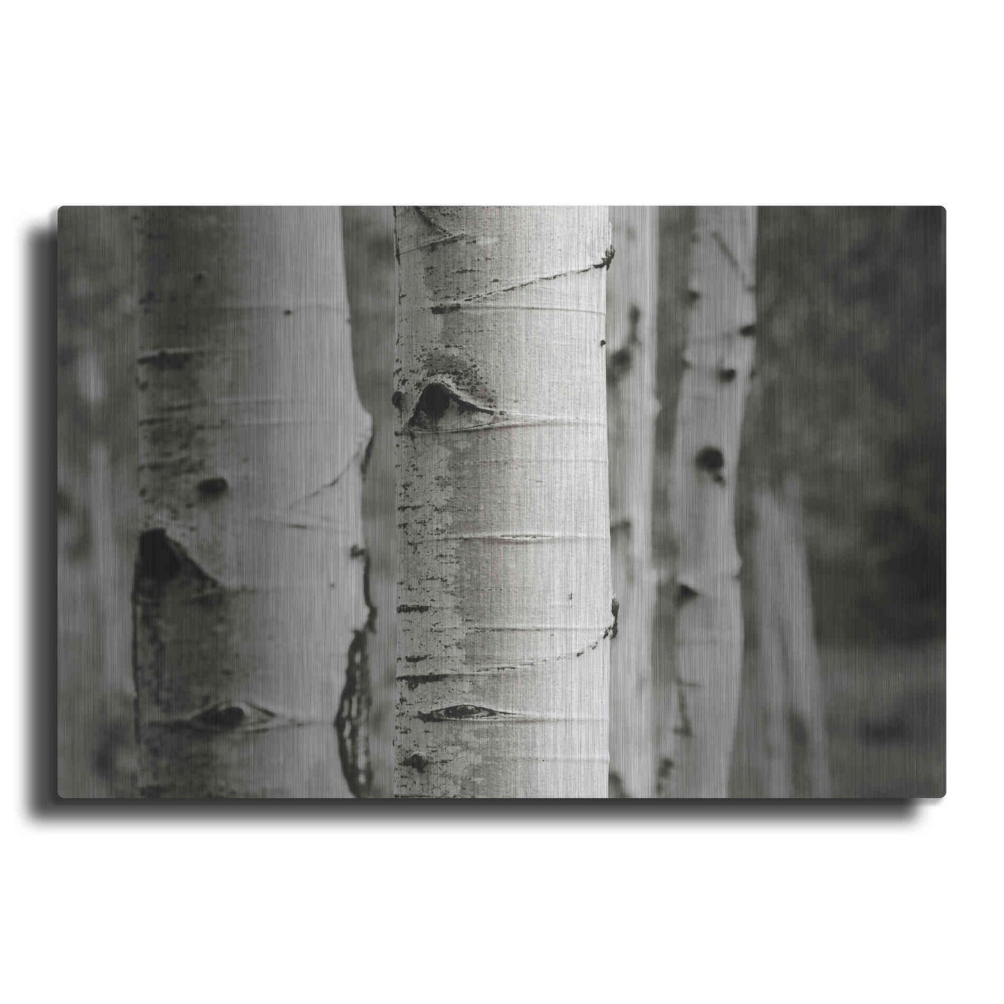 Luxe Metal Art 'Aspens III' by Debra Van Swearingen, Metal Wall Art