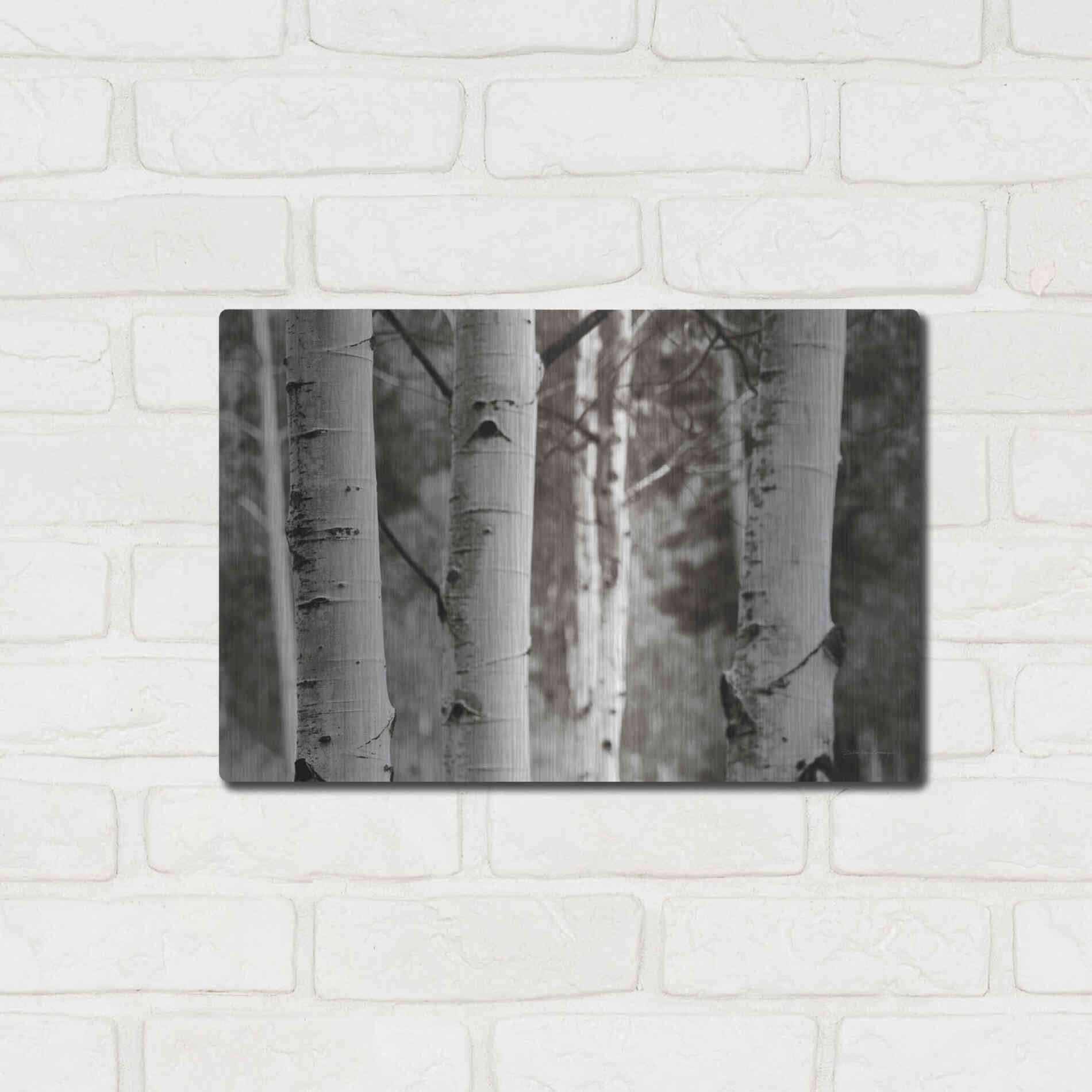 Luxe Metal Art 'Aspens IV' by Debra Van Swearingen, Metal Wall Art,16x12