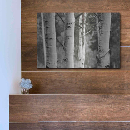 Luxe Metal Art 'Aspens IV' by Debra Van Swearingen, Metal Wall Art,16x12