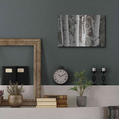 Luxe Metal Art 'Aspens IV' by Debra Van Swearingen, Metal Wall Art,16x12