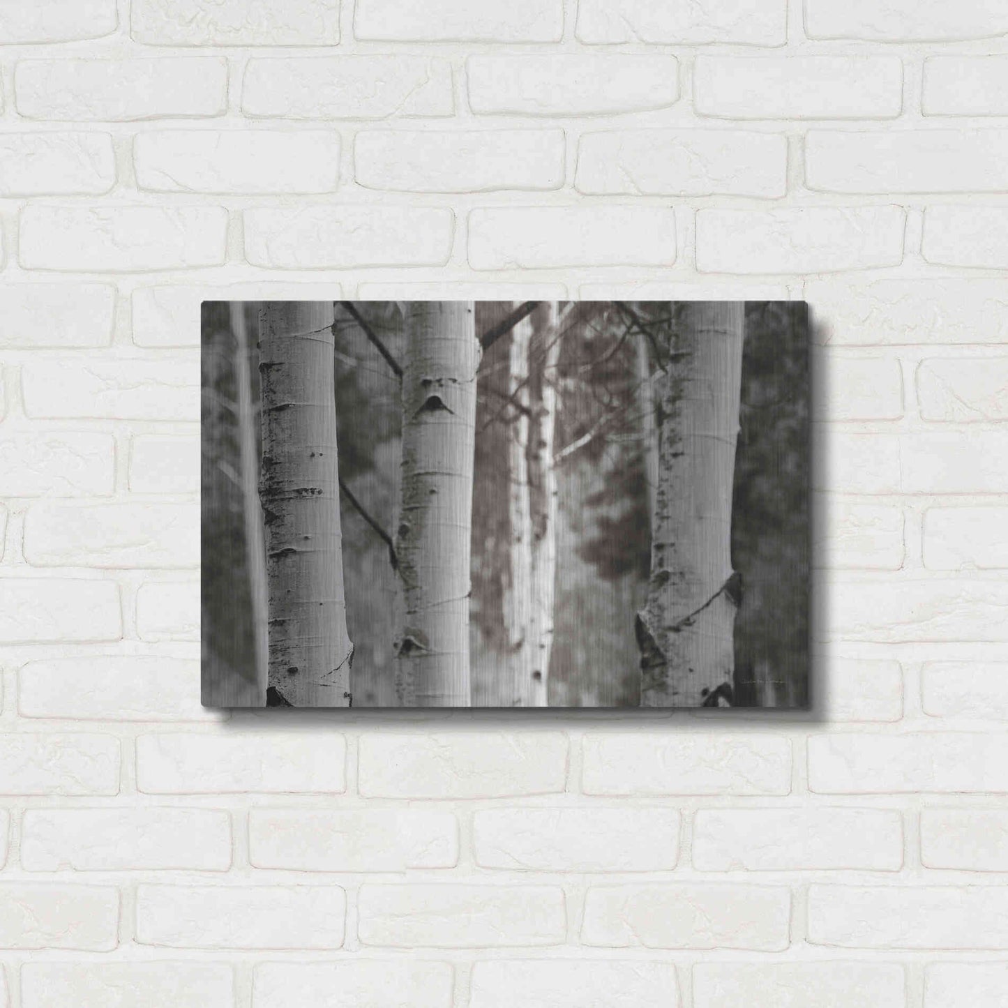 Luxe Metal Art 'Aspens IV' by Debra Van Swearingen, Metal Wall Art,24x16