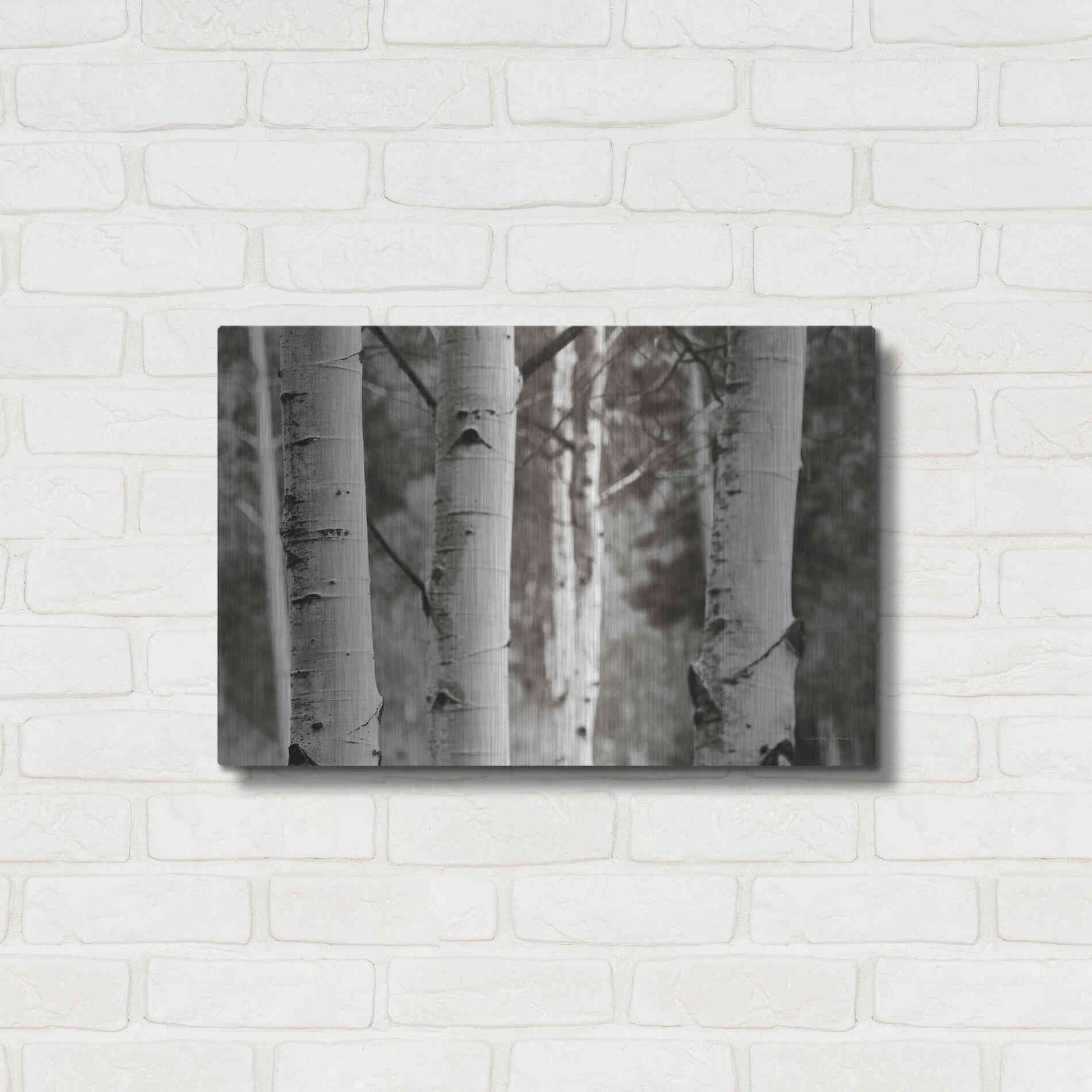 Luxe Metal Art 'Aspens IV' by Debra Van Swearingen, Metal Wall Art,24x16