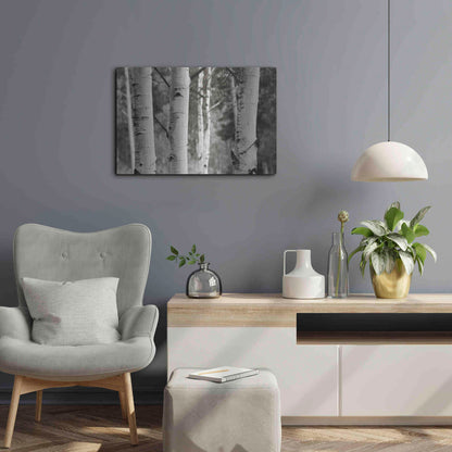 Luxe Metal Art 'Aspens IV' by Debra Van Swearingen, Metal Wall Art,24x16