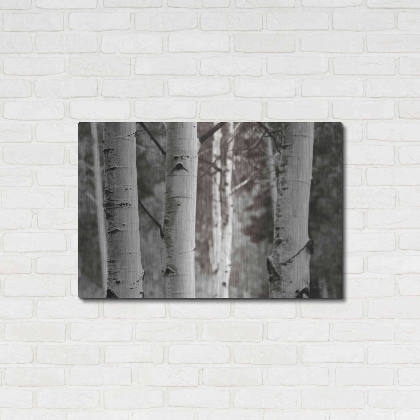 Luxe Metal Art 'Aspens IV' by Debra Van Swearingen, Metal Wall Art,36x24