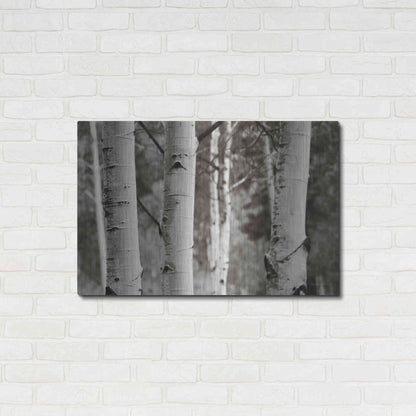 Luxe Metal Art 'Aspens IV' by Debra Van Swearingen, Metal Wall Art,36x24