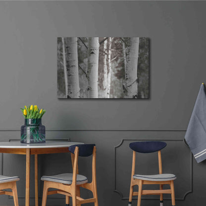 Luxe Metal Art 'Aspens IV' by Debra Van Swearingen, Metal Wall Art,36x24