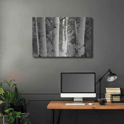 Luxe Metal Art 'Aspens IV' by Debra Van Swearingen, Metal Wall Art,36x24