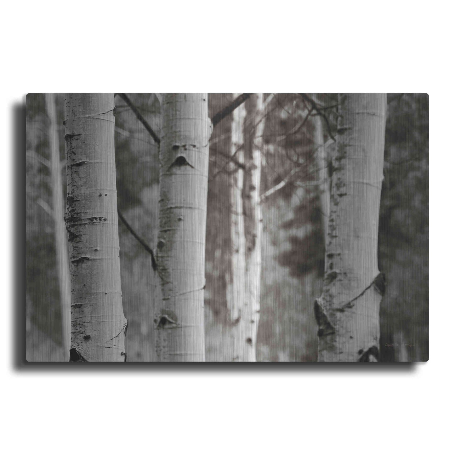 Luxe Metal Art 'Aspens IV' by Debra Van Swearingen, Metal Wall Art