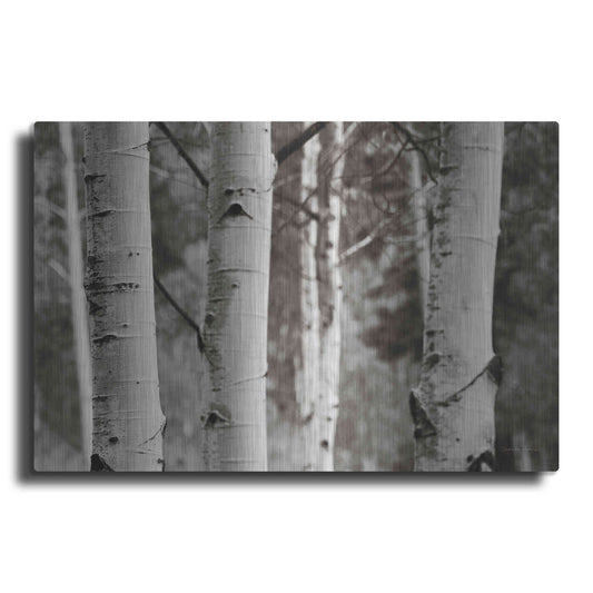 Luxe Metal Art 'Aspens IV' by Debra Van Swearingen, Metal Wall Art