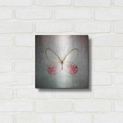 Luxe Metal Art 'French Butterfly I' by Debra Van Swearingen, Metal Wall Art,12x12