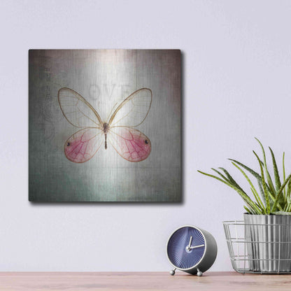 Luxe Metal Art 'French Butterfly I' by Debra Van Swearingen, Metal Wall Art,12x12