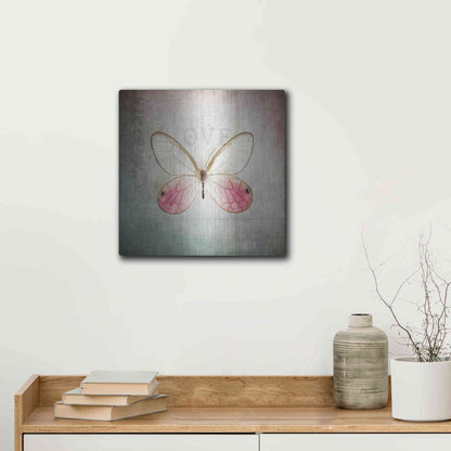 Luxe Metal Art 'French Butterfly I' by Debra Van Swearingen, Metal Wall Art,12x12