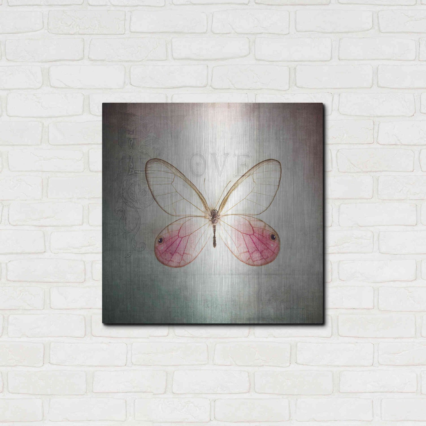 Luxe Metal Art 'French Butterfly I' by Debra Van Swearingen, Metal Wall Art,24x24