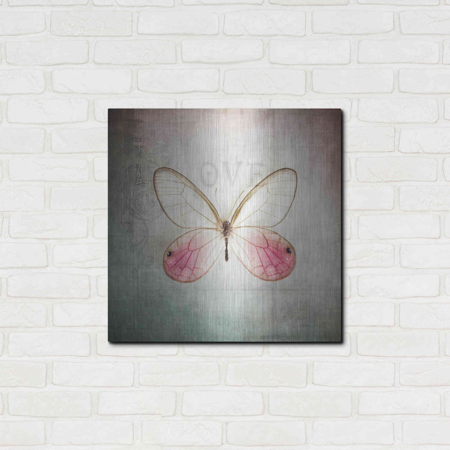 Luxe Metal Art 'French Butterfly I' by Debra Van Swearingen, Metal Wall Art,24x24