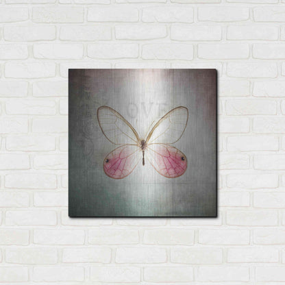 Luxe Metal Art 'French Butterfly I' by Debra Van Swearingen, Metal Wall Art,24x24