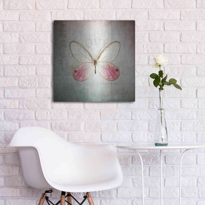 Luxe Metal Art 'French Butterfly I' by Debra Van Swearingen, Metal Wall Art,24x24
