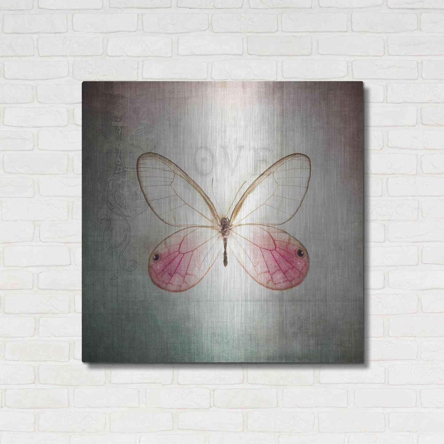 Luxe Metal Art 'French Butterfly I' by Debra Van Swearingen, Metal Wall Art,36x36