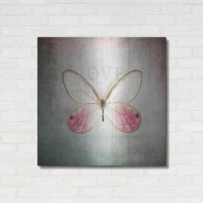 Luxe Metal Art 'French Butterfly I' by Debra Van Swearingen, Metal Wall Art,36x36