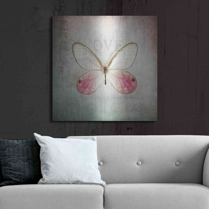 Luxe Metal Art 'French Butterfly I' by Debra Van Swearingen, Metal Wall Art,36x36
