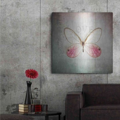 Luxe Metal Art 'French Butterfly I' by Debra Van Swearingen, Metal Wall Art,36x36
