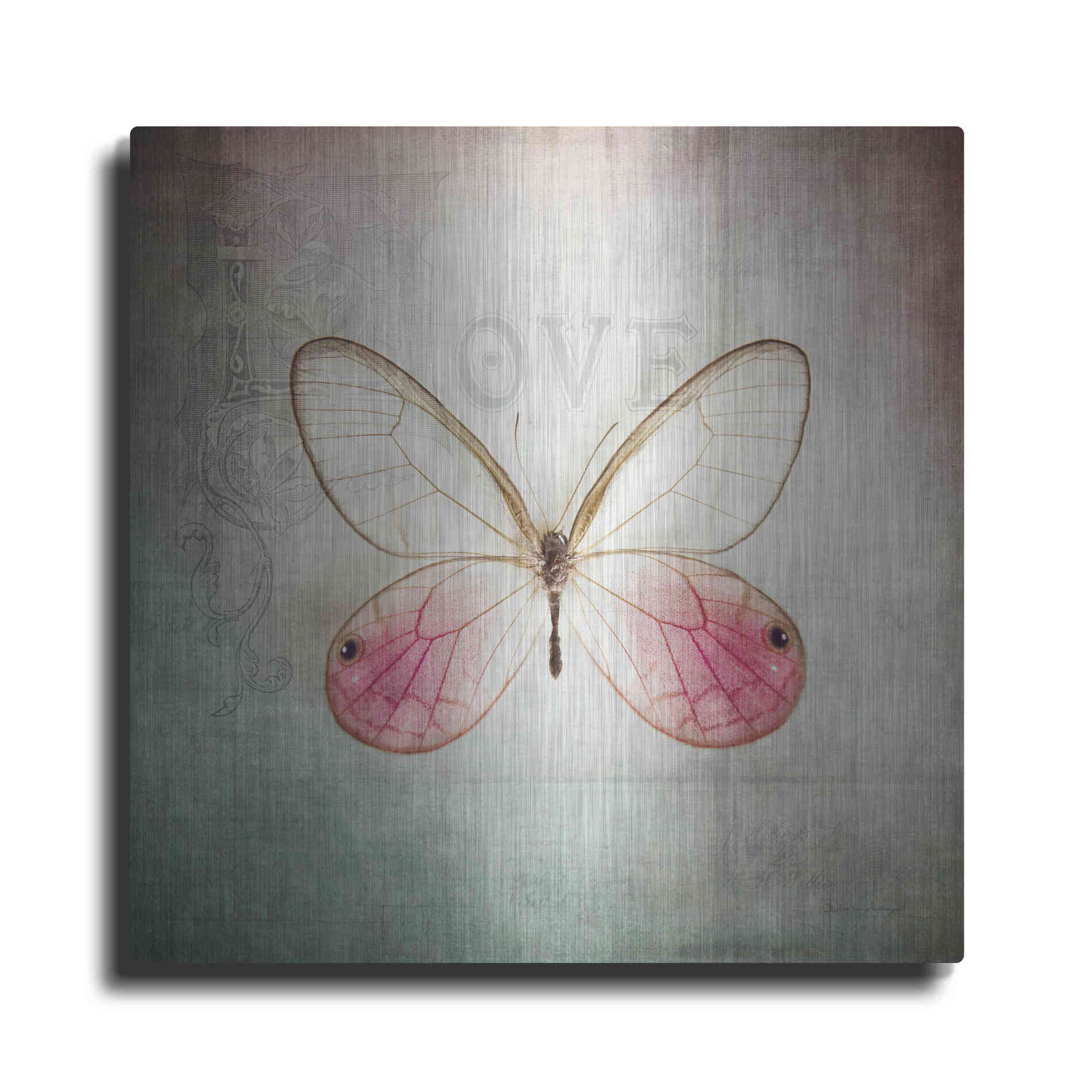 Luxe Metal Art 'French Butterfly I' by Debra Van Swearingen, Metal Wall Art