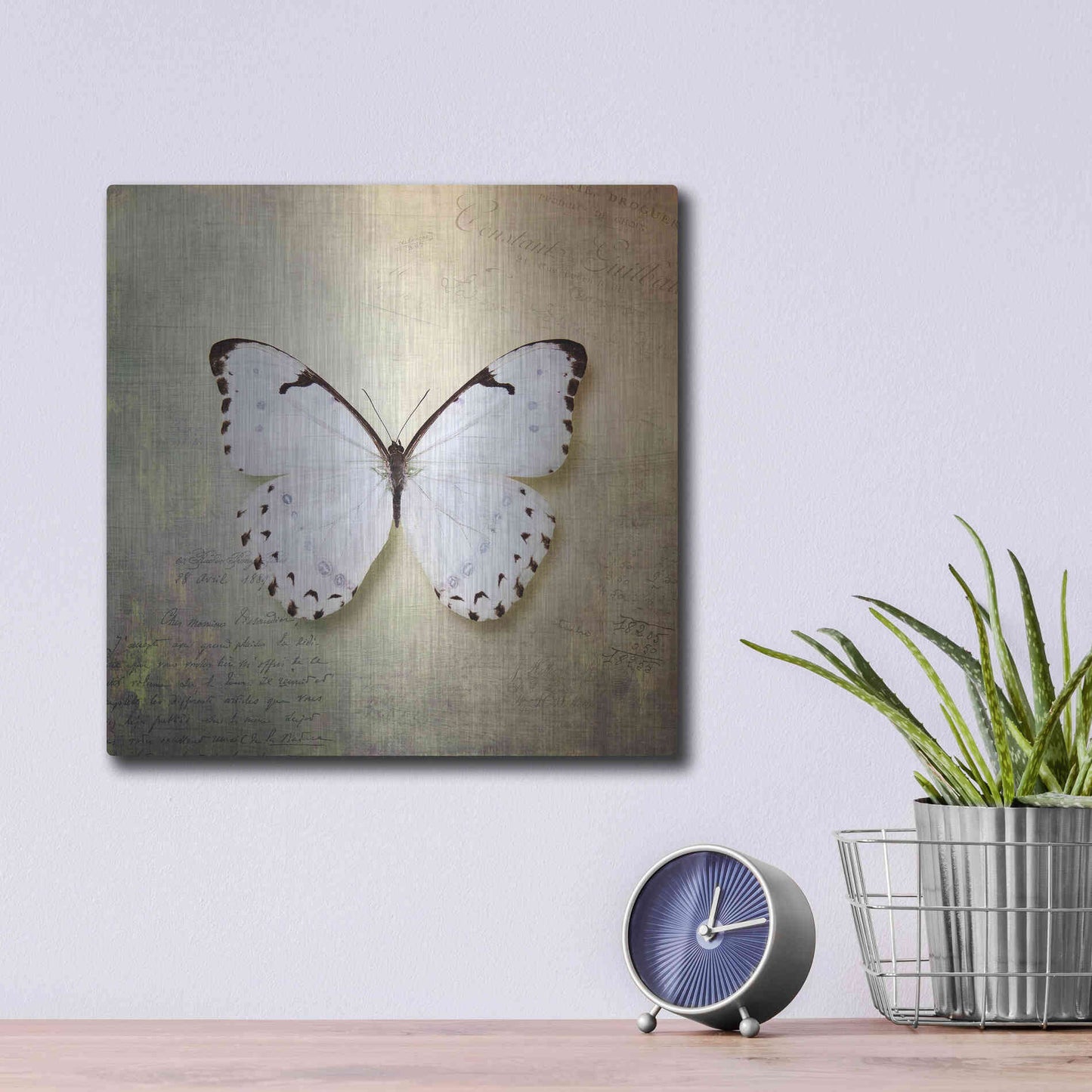 Luxe Metal Art 'French Butterfly II' by Debra Van Swearingen, Metal Wall Art,12x12