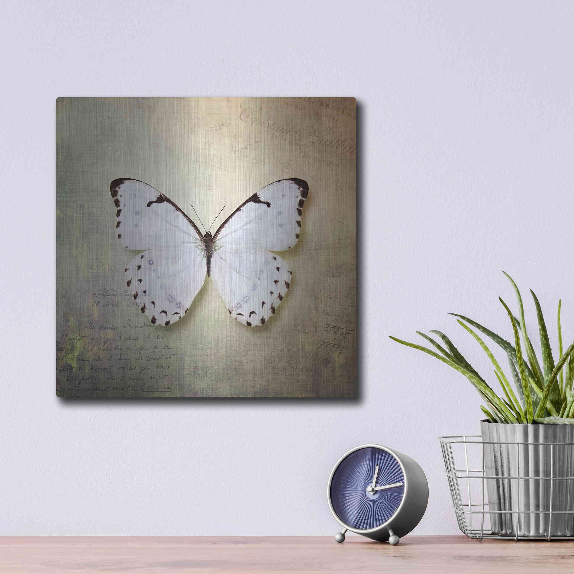 Luxe Metal Art 'French Butterfly II' by Debra Van Swearingen, Metal Wall Art,12x12